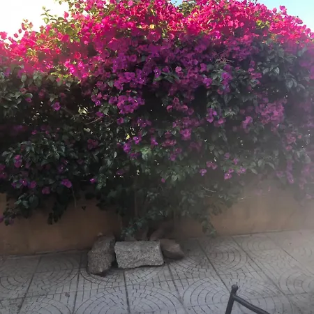 Casa Francesca Apartment